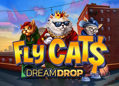 Fly Cats Dream Drop