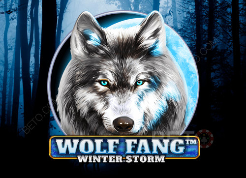 Wolf Fang Winter Storm