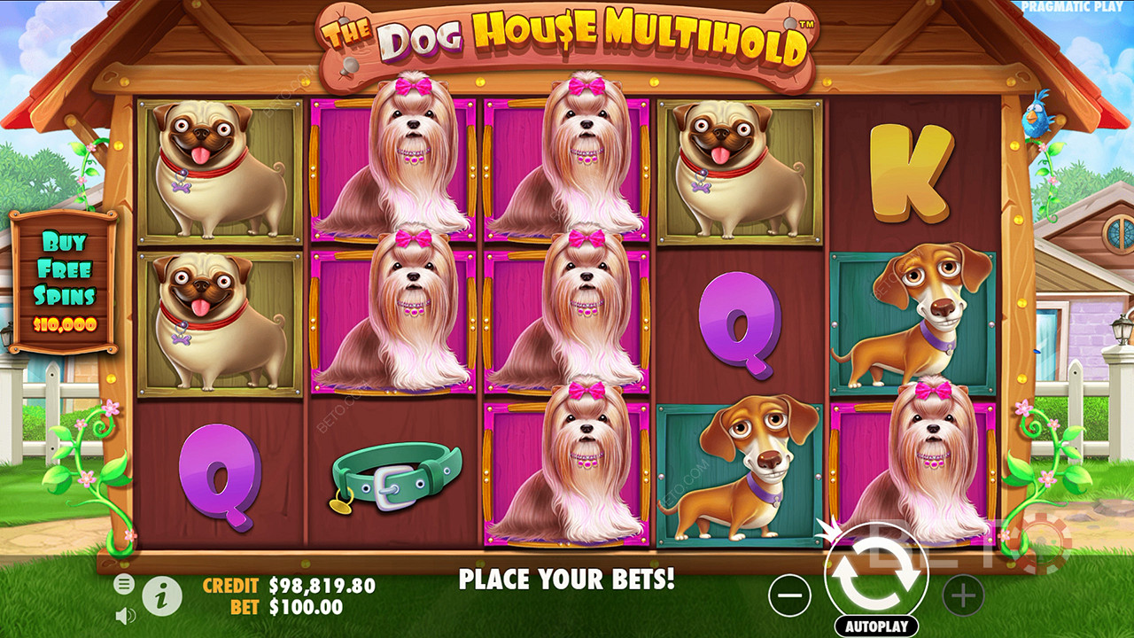 The Dog House 멀티홀드 비디오 슬롯에 대한 평결