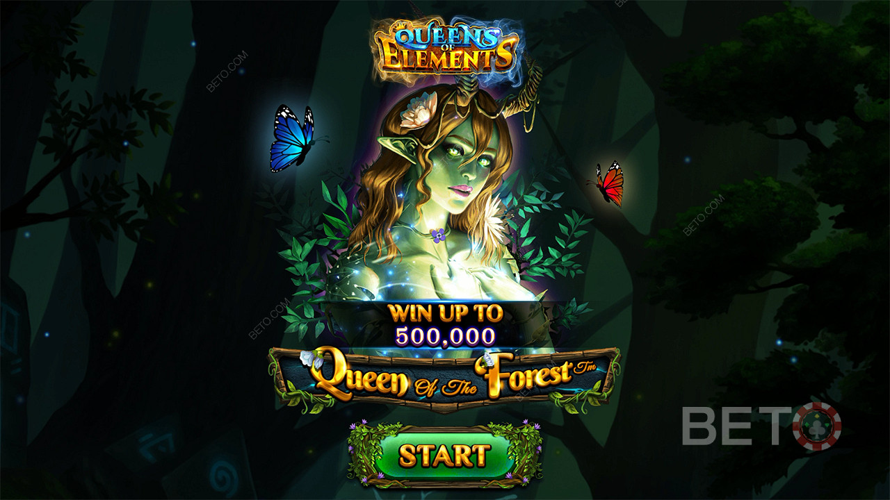 Queen of the Forest 무료 플레이