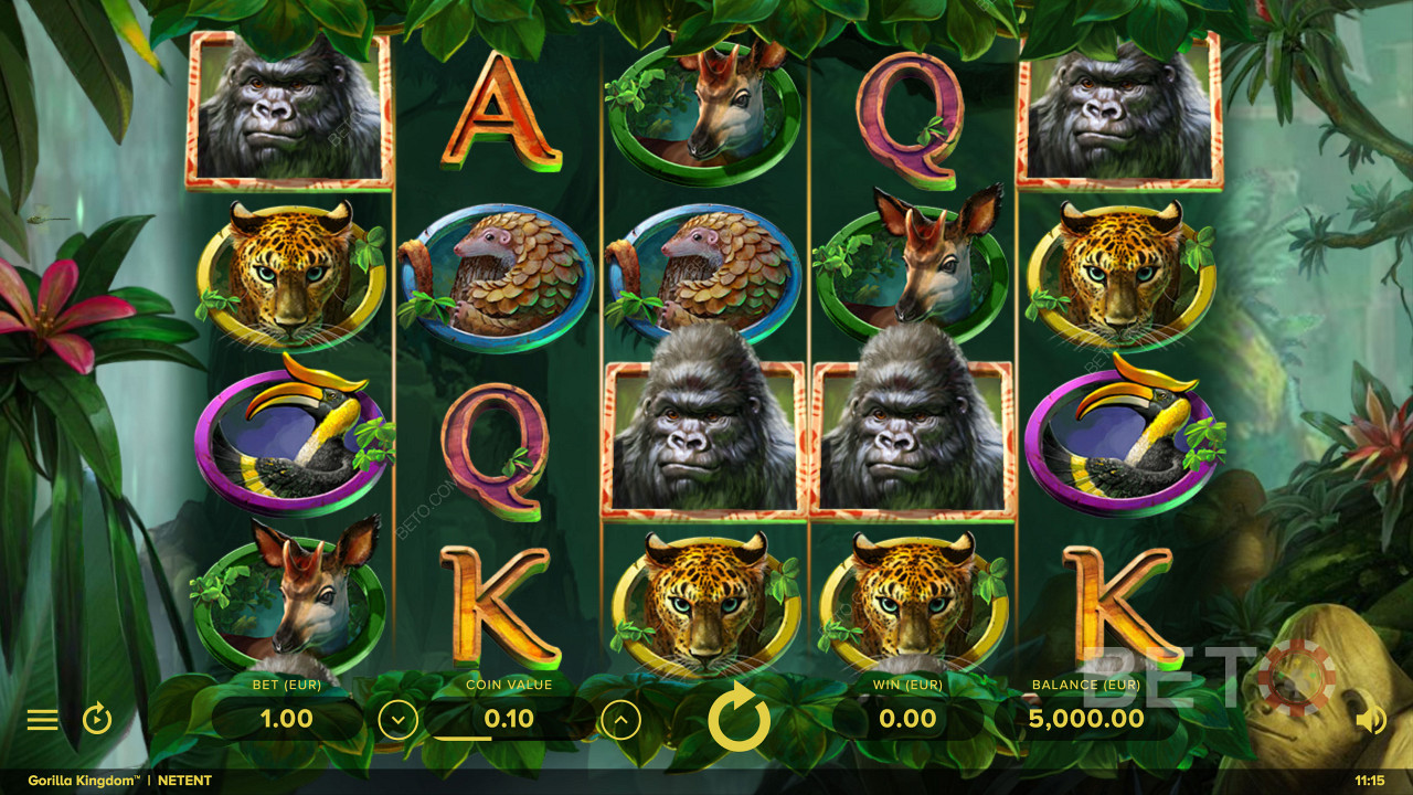 Gorilla Kingdom 온라인 슬롯의 야생 동물 기반 기호