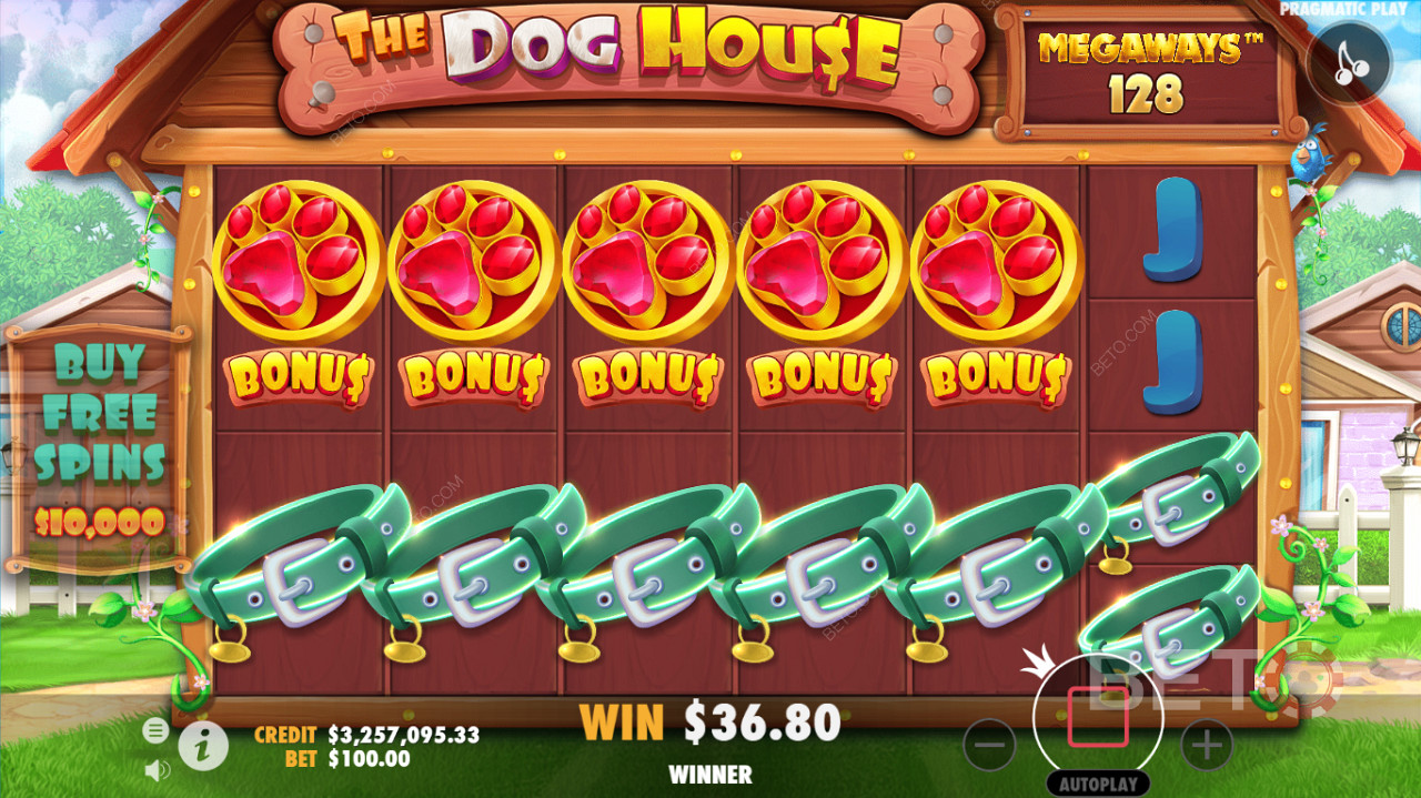 The Dog House Megaways 카지노 슬롯의 상세한 게임 플레이 인터페이스