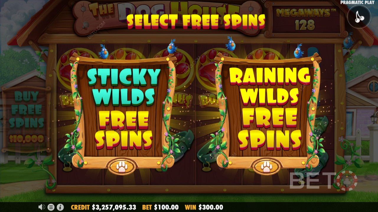 두 가지 무료 스핀 모드 사용 가능 - Sticky Wilds Free Spins 또는 Raining Wilds Free Spins 기능