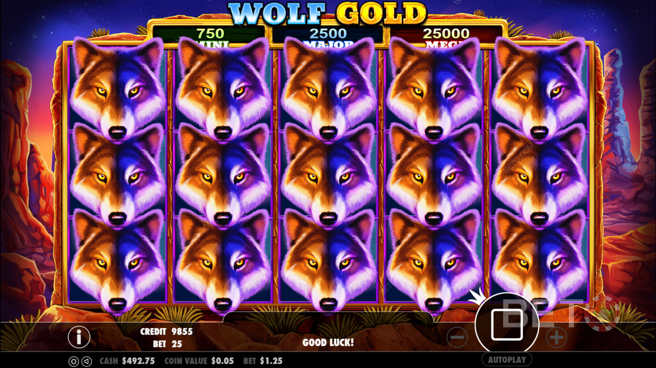 Wolf Gold Scatter 기호는 Free Spin 라운드를 트리거합니다.