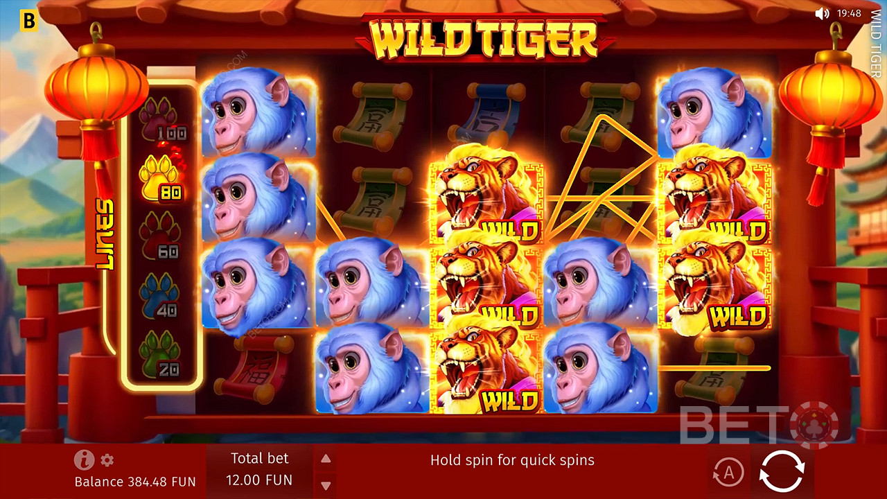 Wild Tiger 무료 플레이