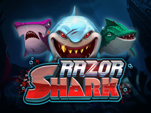 Razor Shark 온라인 슬롯