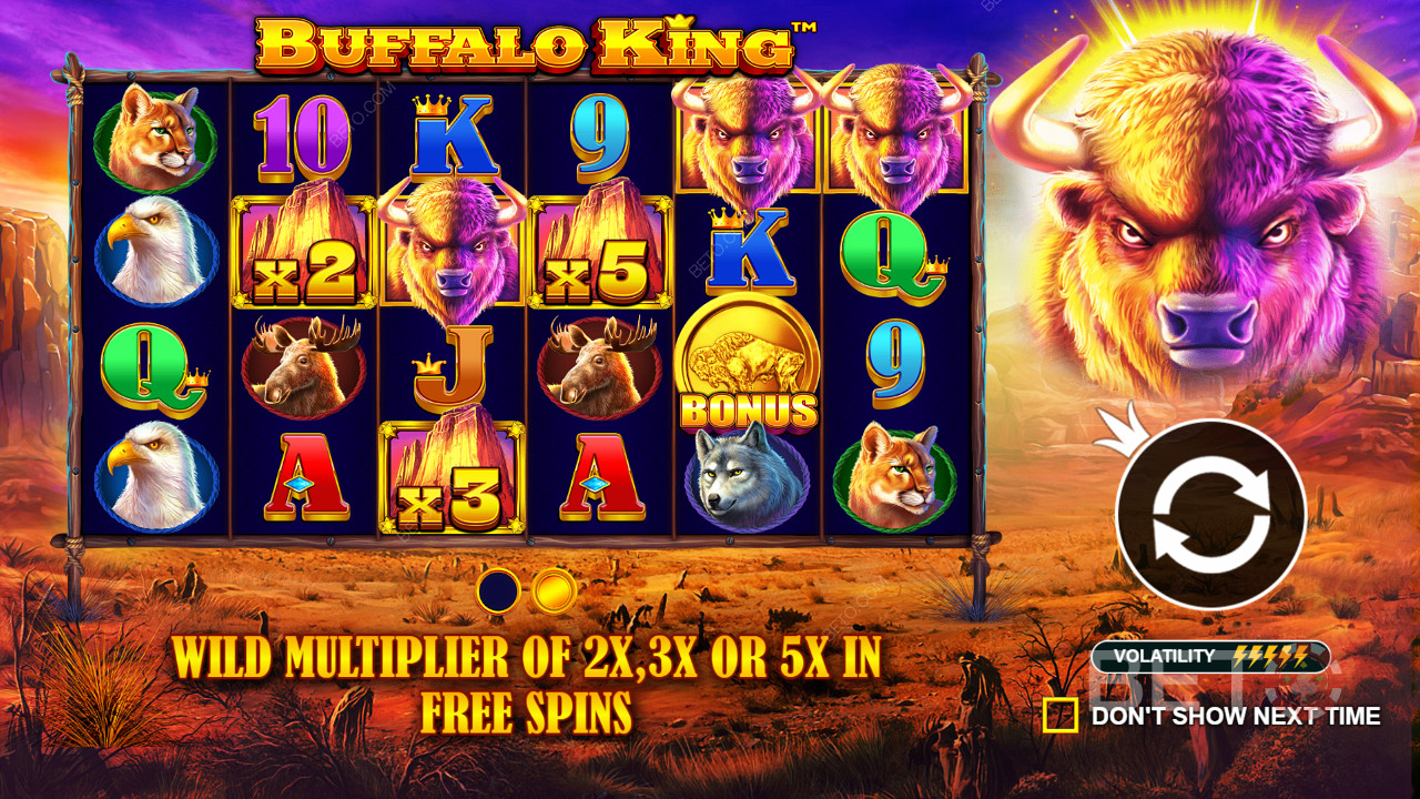 모든 Wild Symbols는 Buffalo King 에서 2x, 3x 또는 5x의 승수 효과를 가질 수 있습니다.