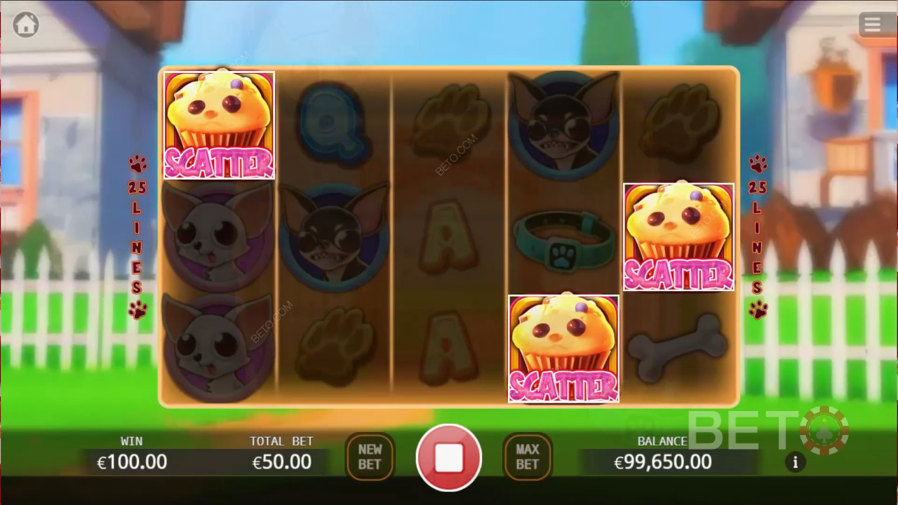 Chihuahua Party 무료 플레이