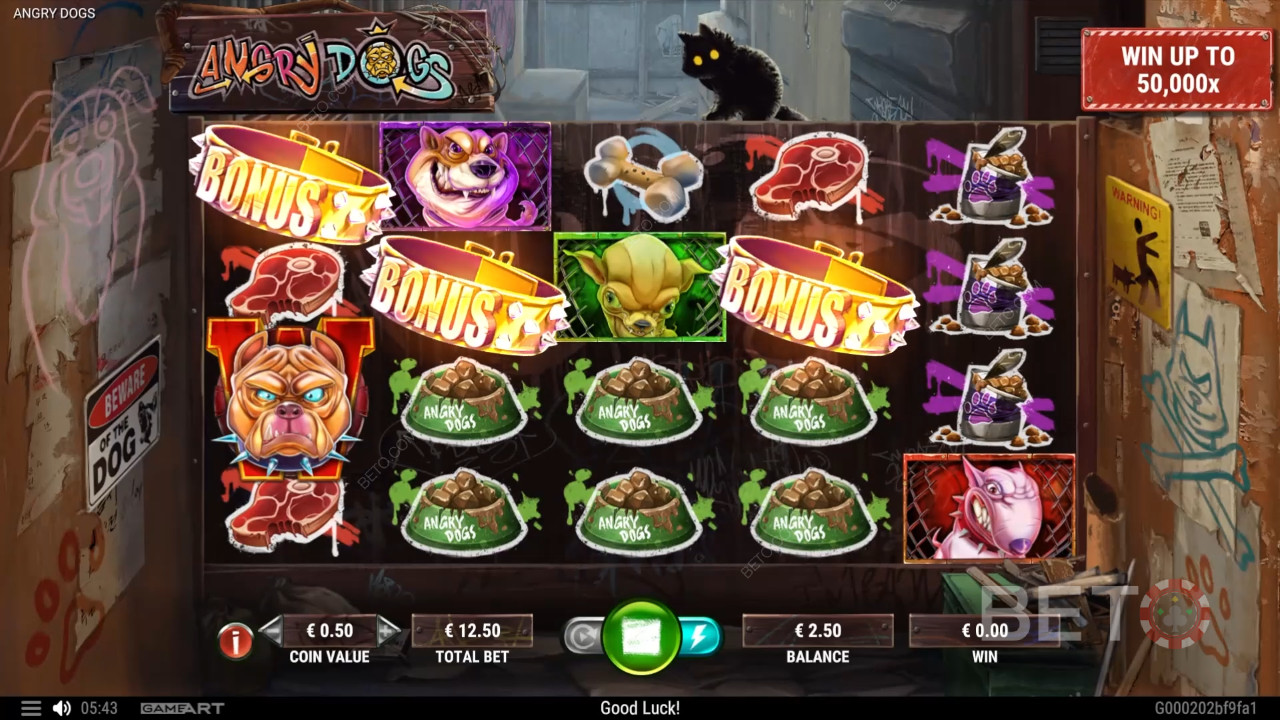 Angry Dogs 무료 플레이