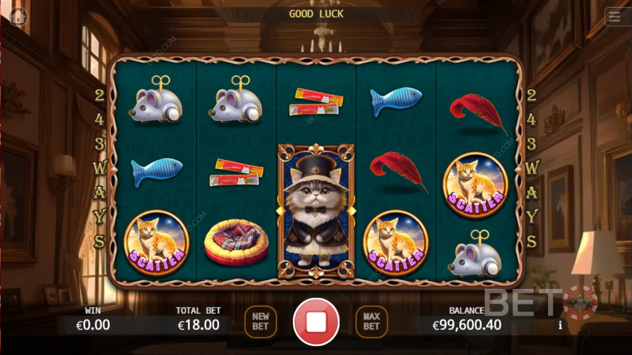 Noble Cat 무료 플레이