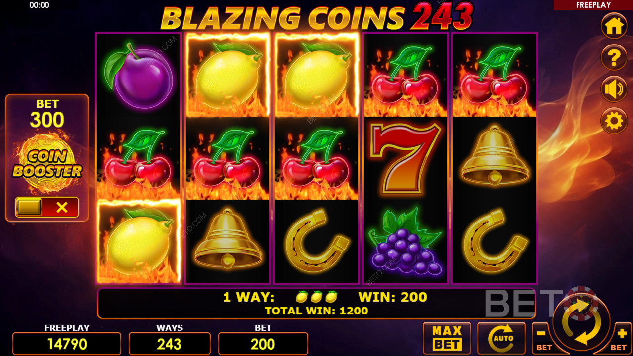 Blazing Coins 243 무료 플레이