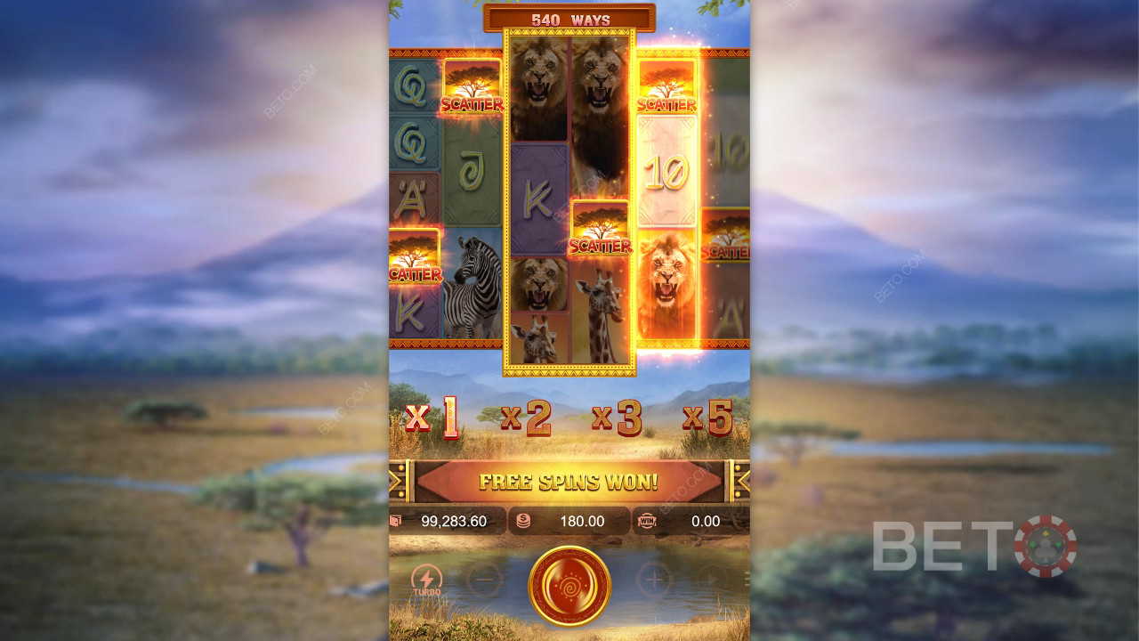 Safari Wilds 무료 플레이