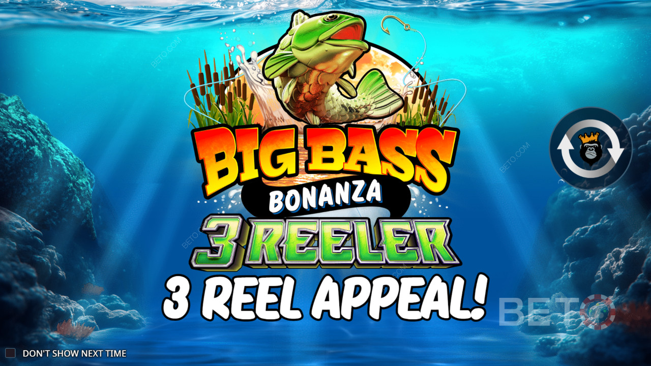 플레이 방법 Reel Kingdom 의 Big Bass Bonanza 3 릴러