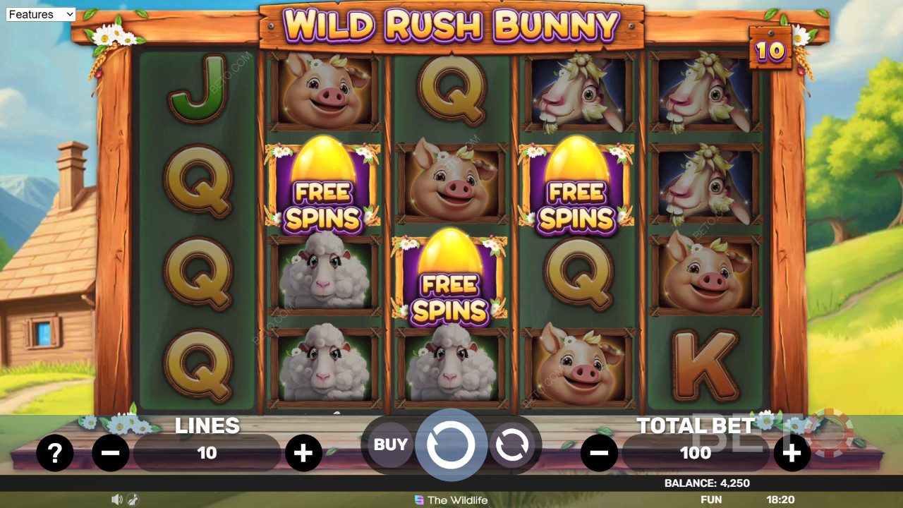 Wild Rush Bunny 무료 플레이