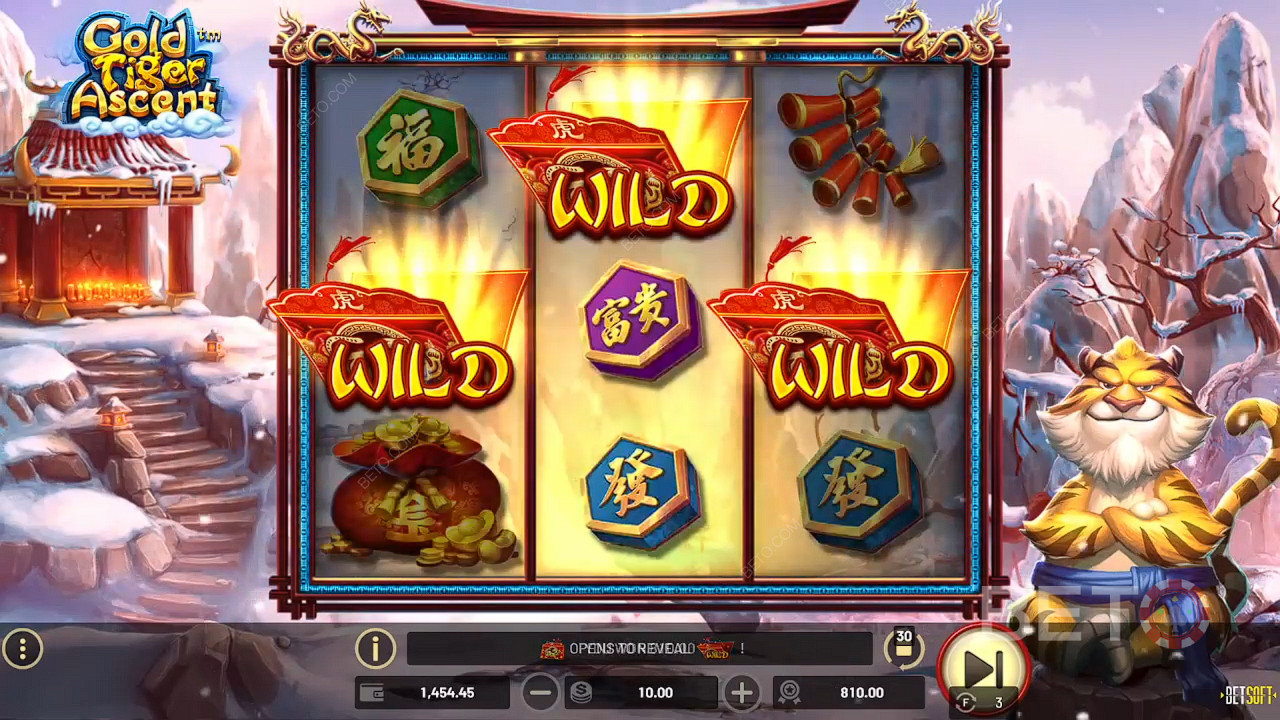 Gold Tiger Ascent 무료 플레이