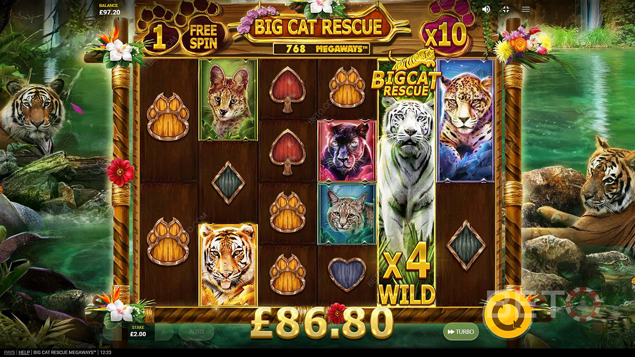Big Cat Rescue Megaways 무료 플레이