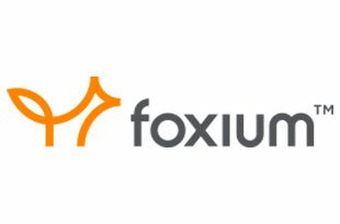 Foxium ᐈ 슬롯 무료 플레이 ✚ 리뷰 보기 (2025)