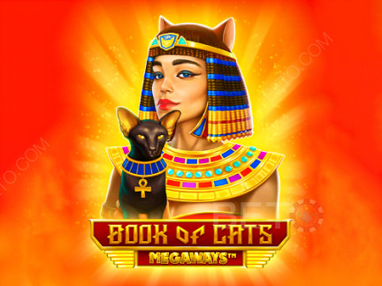 Book of Cats Megaways 데모 버전