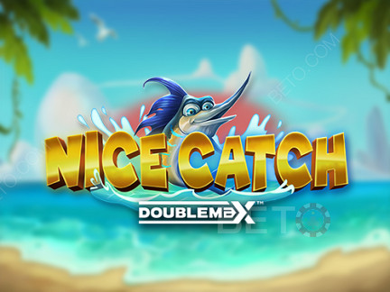 Nice Catch DoubleMax 데모 버전