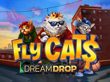 Fly Cats Dream Drop 데모 버전