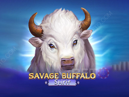 Savage Buffalo Spirit 데모 버전