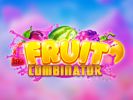 Fruit Combinator 데모 버전