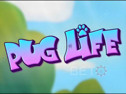 Pug Life 데모 버전
