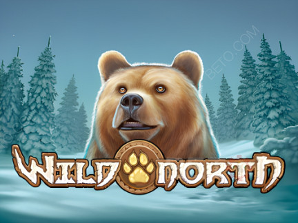 Wild North (Play’n Go) 데모 버전