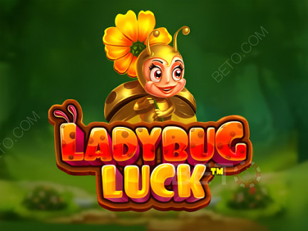 Ladybug Luck  데모 버전