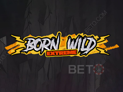 Born Wild 데모 버전