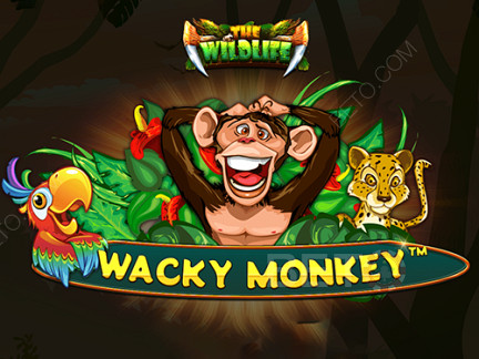 Wacky Monkey 데모 버전