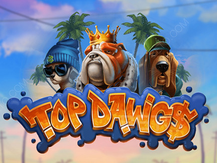 Top Dawgs 데모 버전