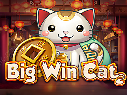 Big Win Cat 데모 버전