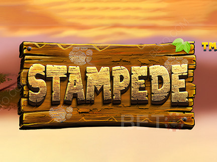 Stampede (Betsoft)  데모 버전