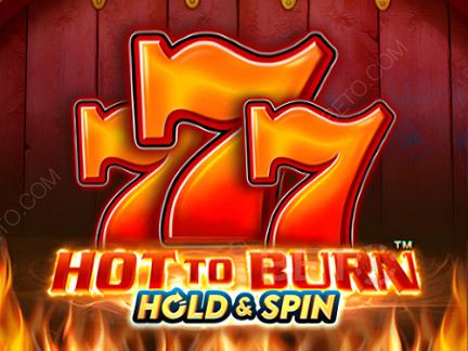 Hot To Burn Hold And Spin 데모 버전