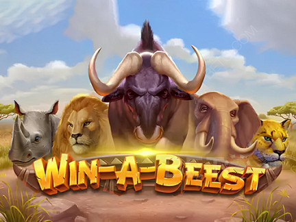 Win A Beest 데모 버전