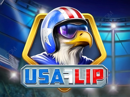 USA Flip  데모 버전