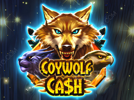Coywolf Cash 데모 버전