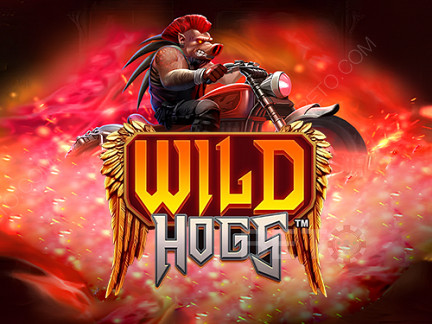 Wild Hogs 데모 버전