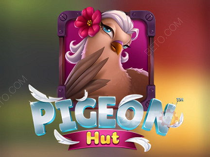Pigeon Hut 데모 버전