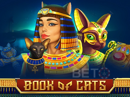 Book Of Cats 데모 버전