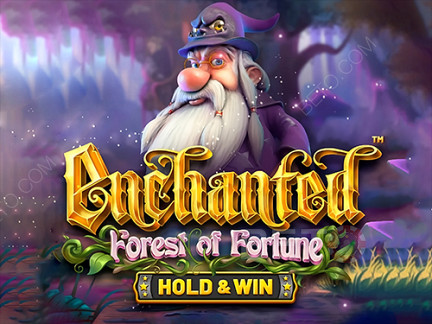Enchanted: Forest of Fortune 데모 버전