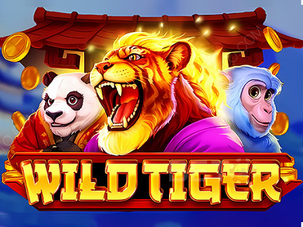 Wild Tiger 데모 버전