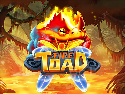 Fire Toad 데모 버전