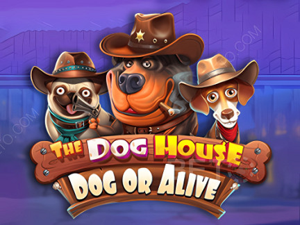 The Dog House - Dog or Alive 데모 버전
