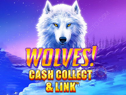 Wolves! Cash Collect & Link 데모 버전