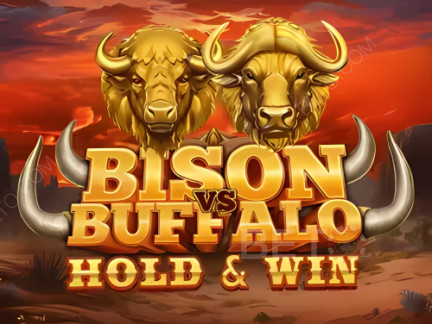 Bison vs Buffalo 데모 버전