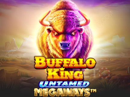 Buffalo King Untamed Megaways 데모 버전
