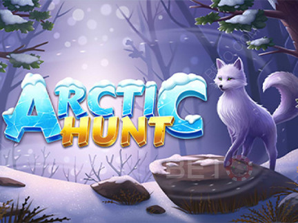 Arctic Hunt 데모 버전