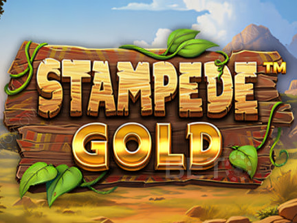 Stampede Gold 데모 버전